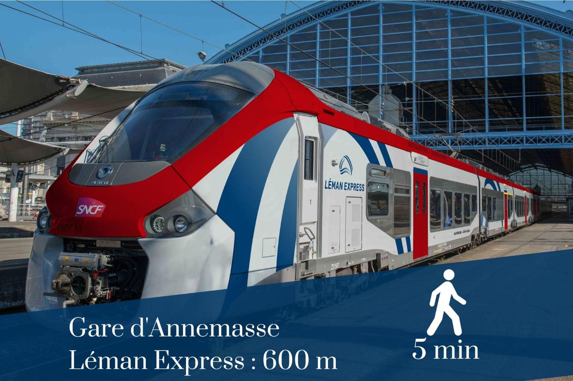 Homey Forest - Hypercentre - Proche Gare Et Tram - Wifi & Netflix Annemasse Exteriör bild